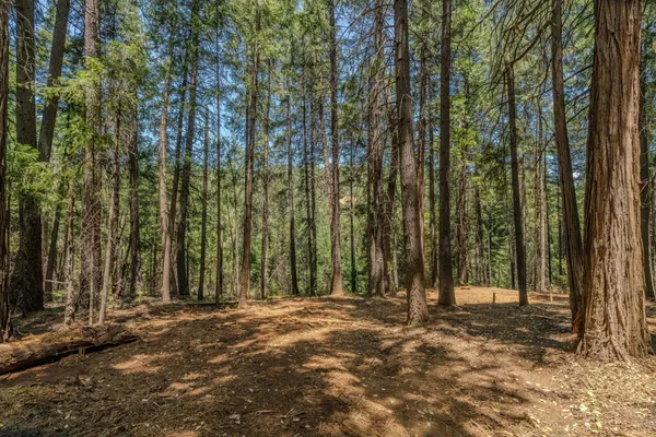 $59,000 | 18748 Lancelot Lane, Pioneer, CA 95666