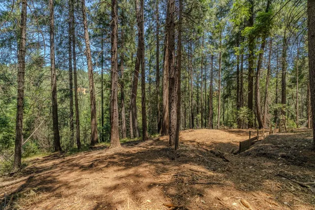 a backyard of a house with large trees