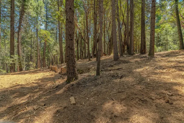 a view of a backyard of the house