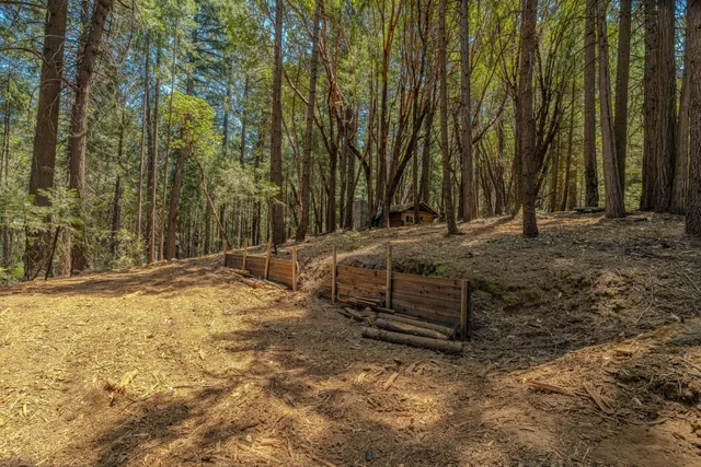 a backyard of a house with trees and outdoor space