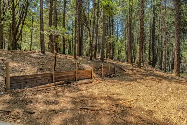 a view of backyard with trees