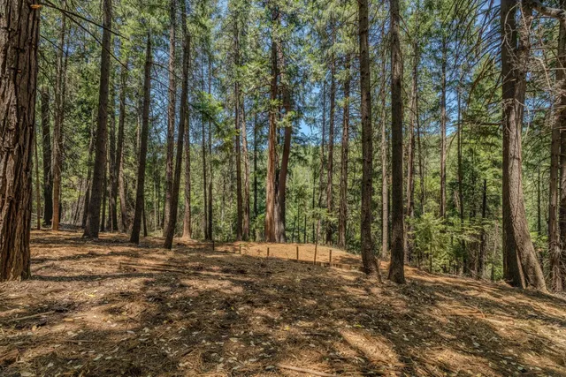 a view of outdoor space with trees