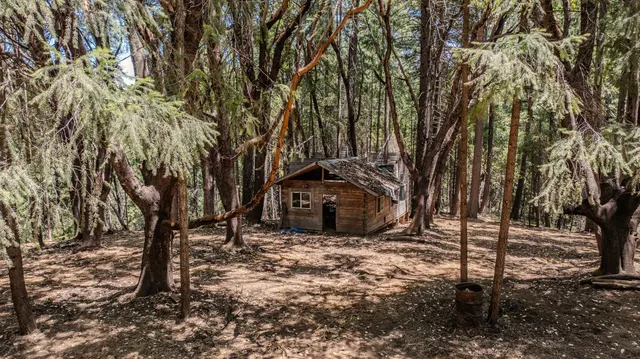 a view of a backyard of the house