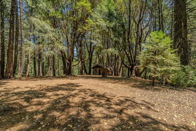 a view of outdoor space with trees