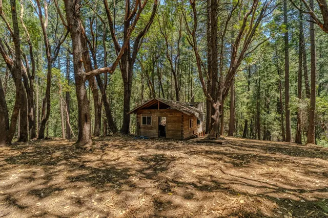 a view of outdoor space with trees