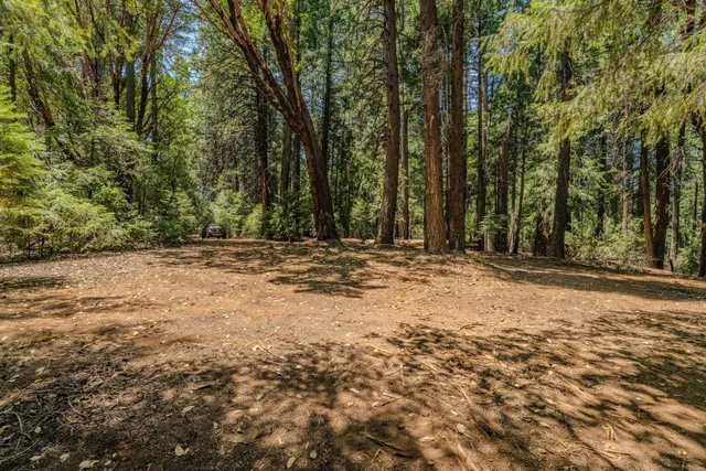 a view of outdoor space with trees