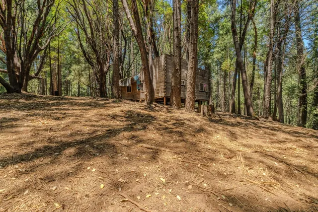a view of a backyard of the house