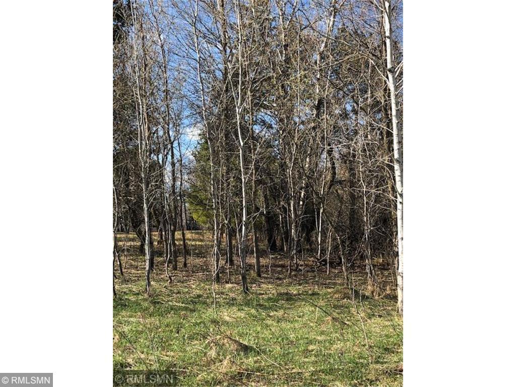 Tbd Buck Road Hinckley, MN 55037 - Photo 1 of 1 Gallery Image 1