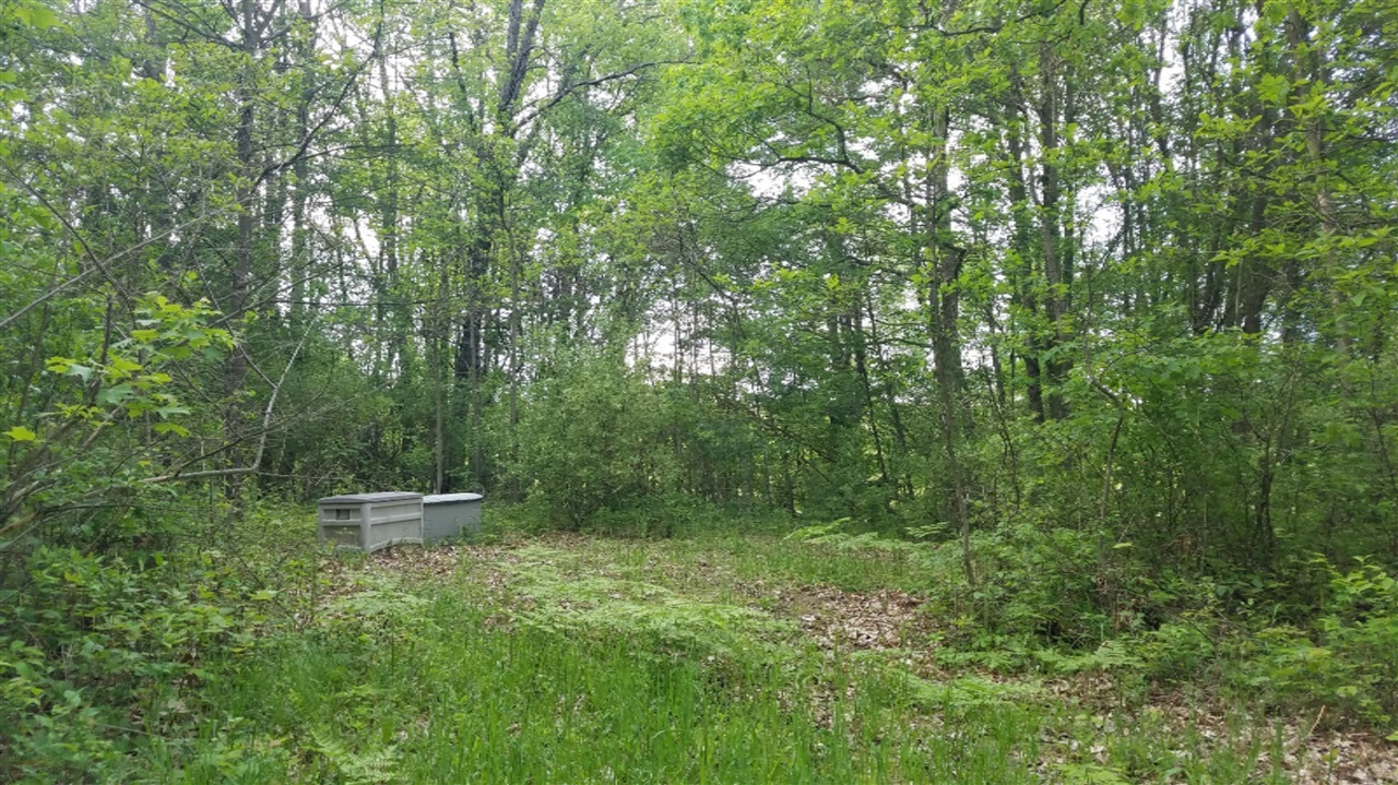 80 South Centerline Road Newaygo, MI 49337 - Photo 15 of 23