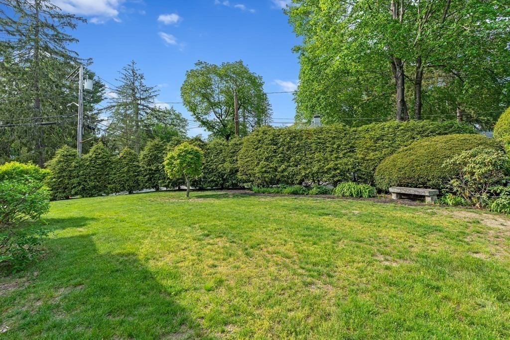 36 Laurel Avenue Wellesley, MA 02481 - Photo 23 of 27 a view of a lush green space