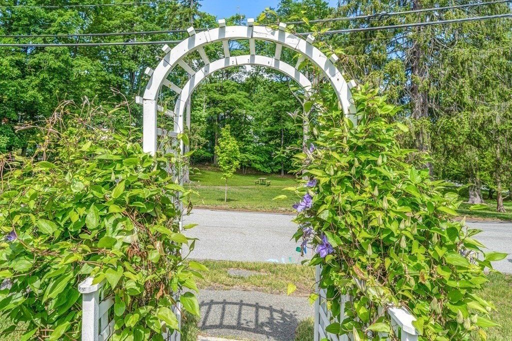 36 Laurel Avenue Wellesley, MA 02481 - Photo 25 of 27 a view of a yard with plants
