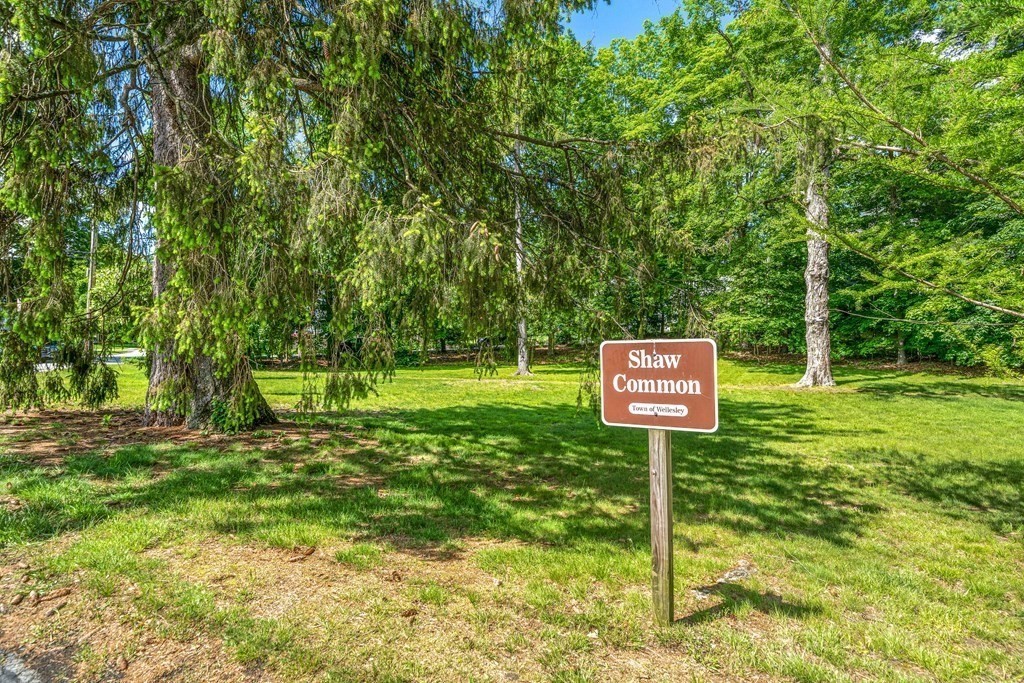 36 Laurel Avenue Wellesley, MA 02481 - Photo 26 of 27 a sign board with tall trees in the background