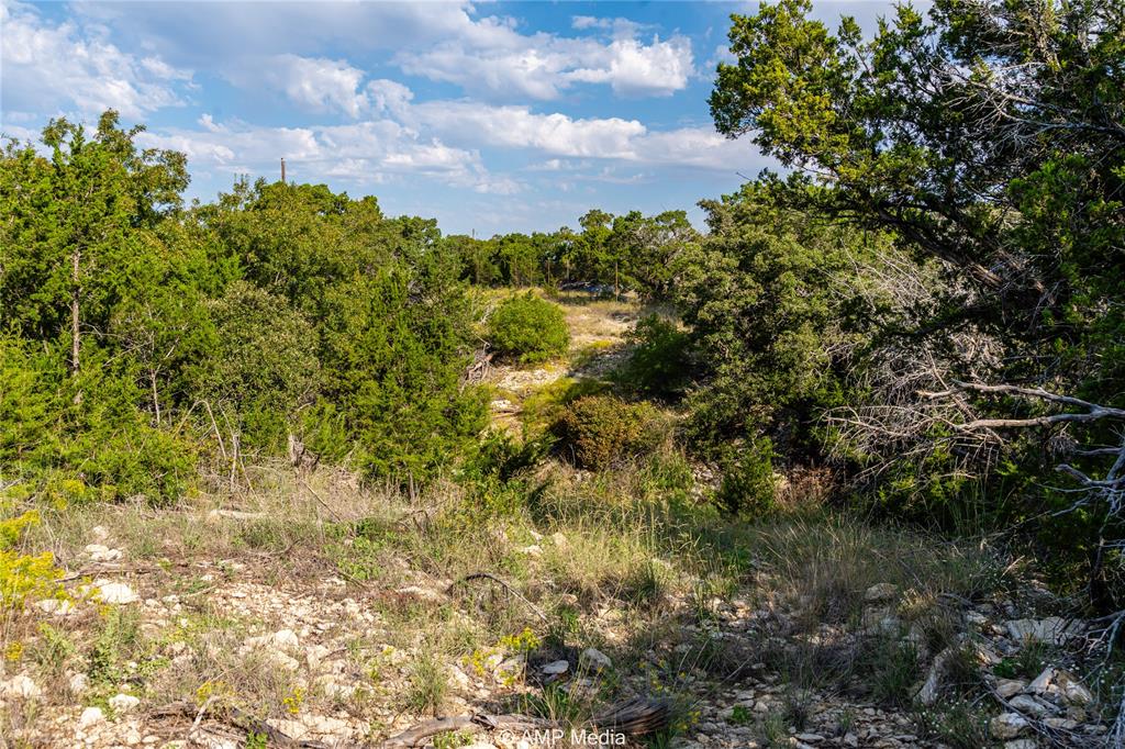 1982 Mountain Pass Merkel, TX 79536 - Photo 26 of 40 View of landscape