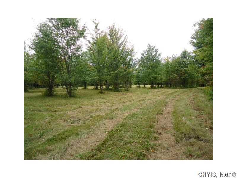 0 Fox Road Redfield, NY 13437 - Photo 4 of 9 Gallery Image 4