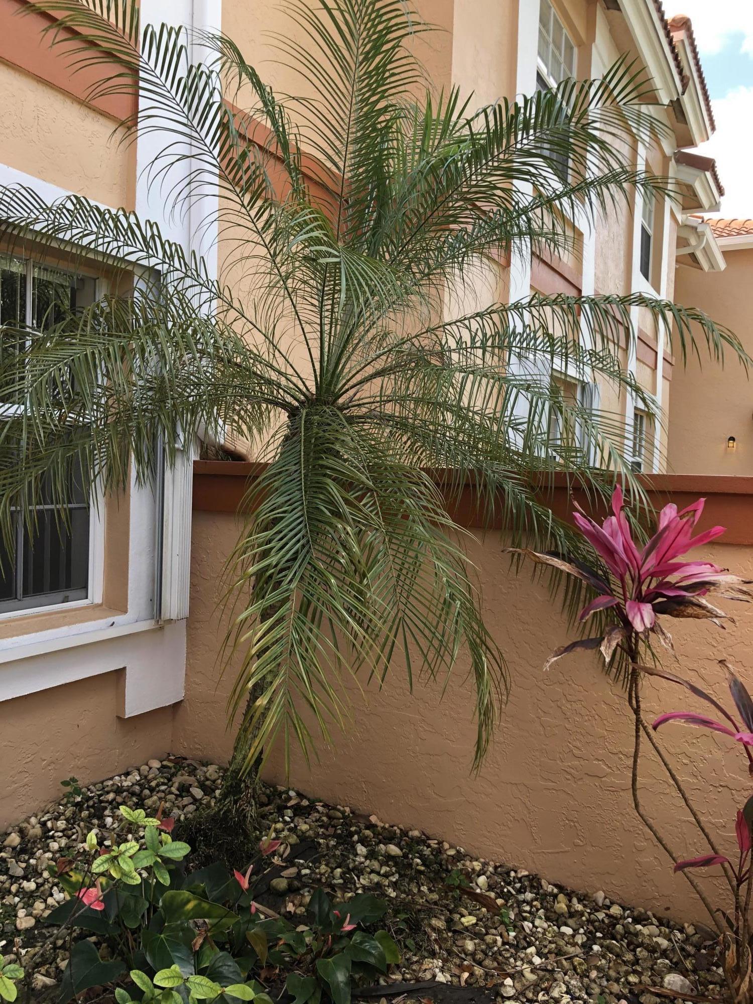 9781 Seacrest Circle, Unit 101 Boynton Beach, FL 33437 - Photo 2 of 15 IMG_0375