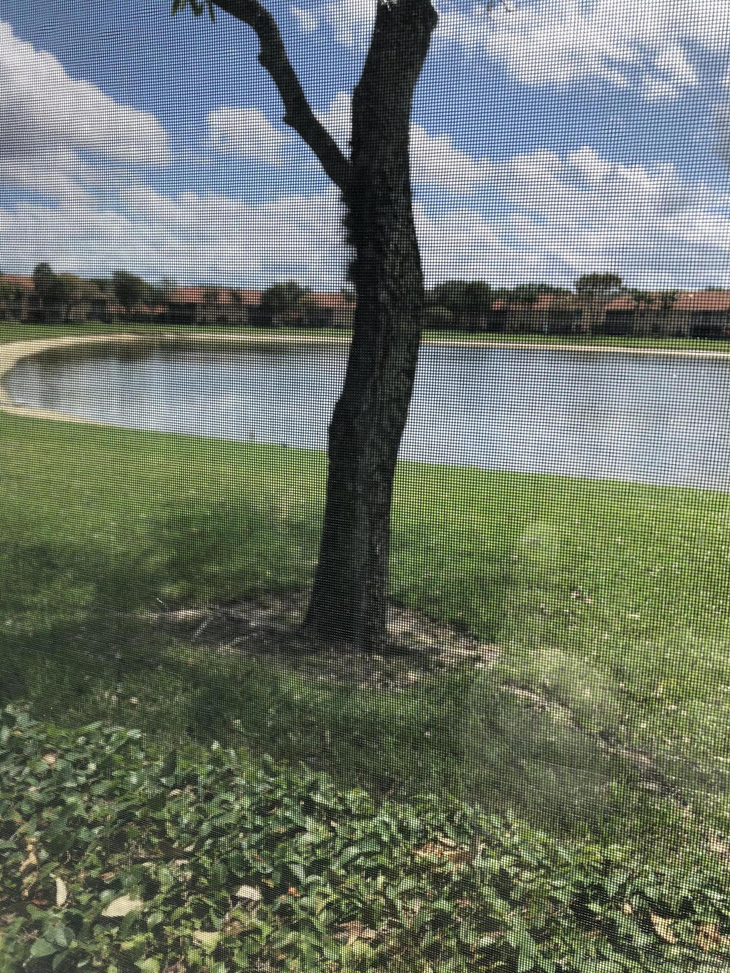 9781 Seacrest Circle, Unit 101 Boynton Beach, FL 33437 - Photo 5 of 15 IMG_0349