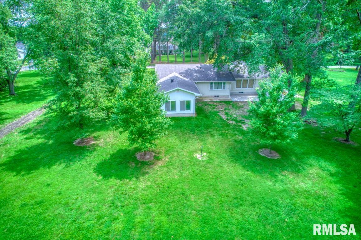 807 West Market Street Christopher, IL 62822 - Photo 50 of 57 a view of a big yard with plants and large trees
