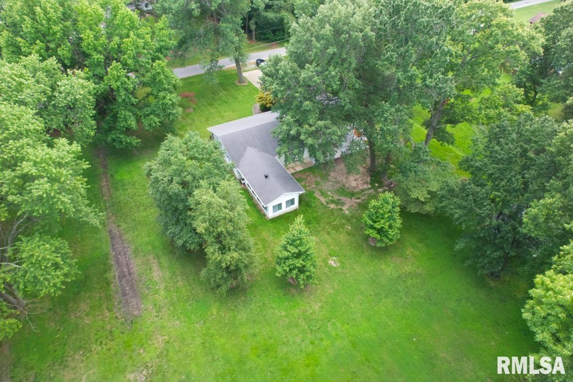 807 West Market Street Christopher, IL 62822 - Photo 51 of 57 a view of a lush green space