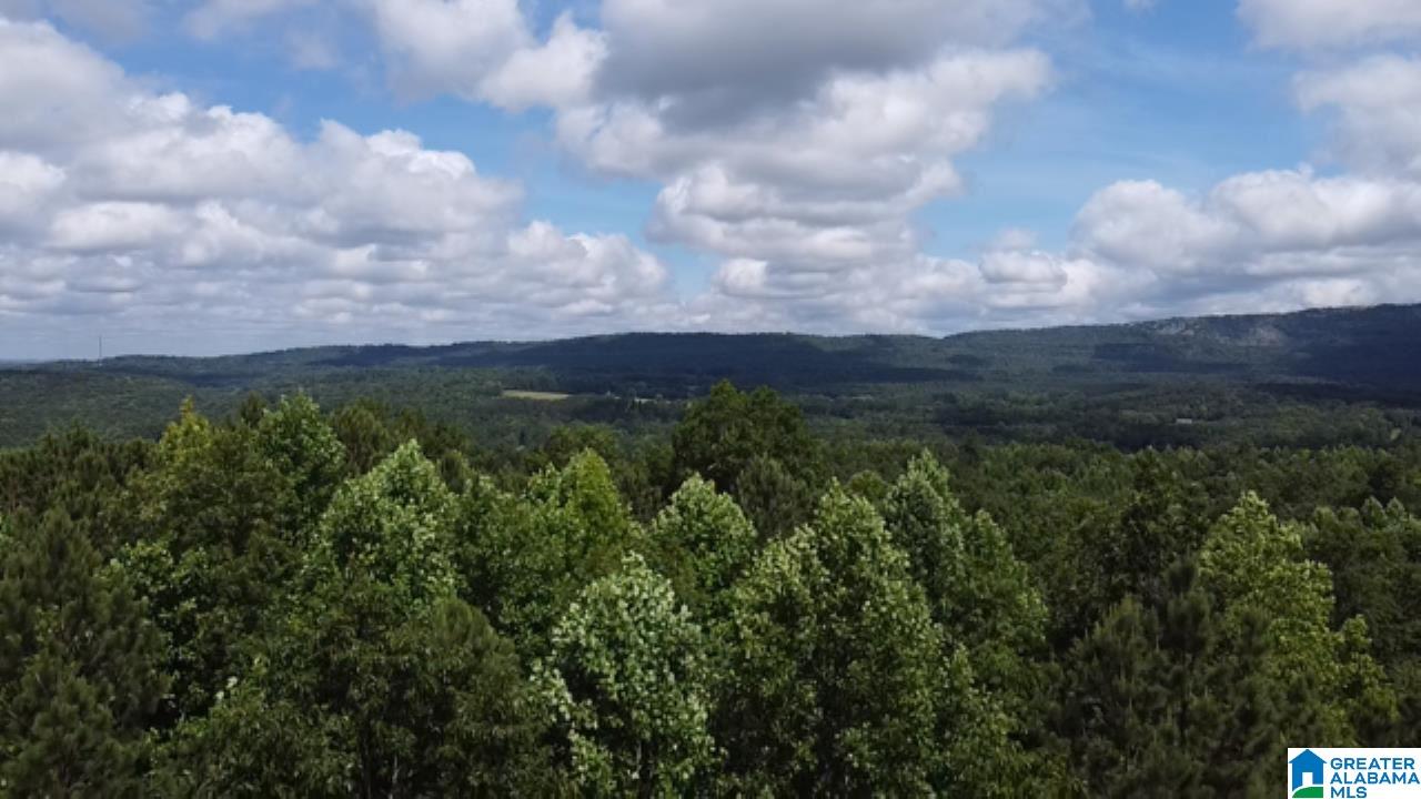 0 Wolf Pen Ridge Road, Unit 3 ACRES Pell City, AL 35128 - Photo 5 of 5
