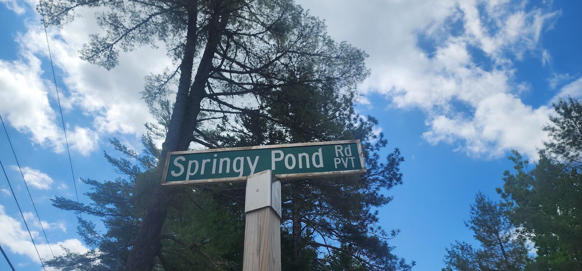 Off Springy Pond Road Eddington, ME 04428 - Photo 25 of 25 20240613_104422