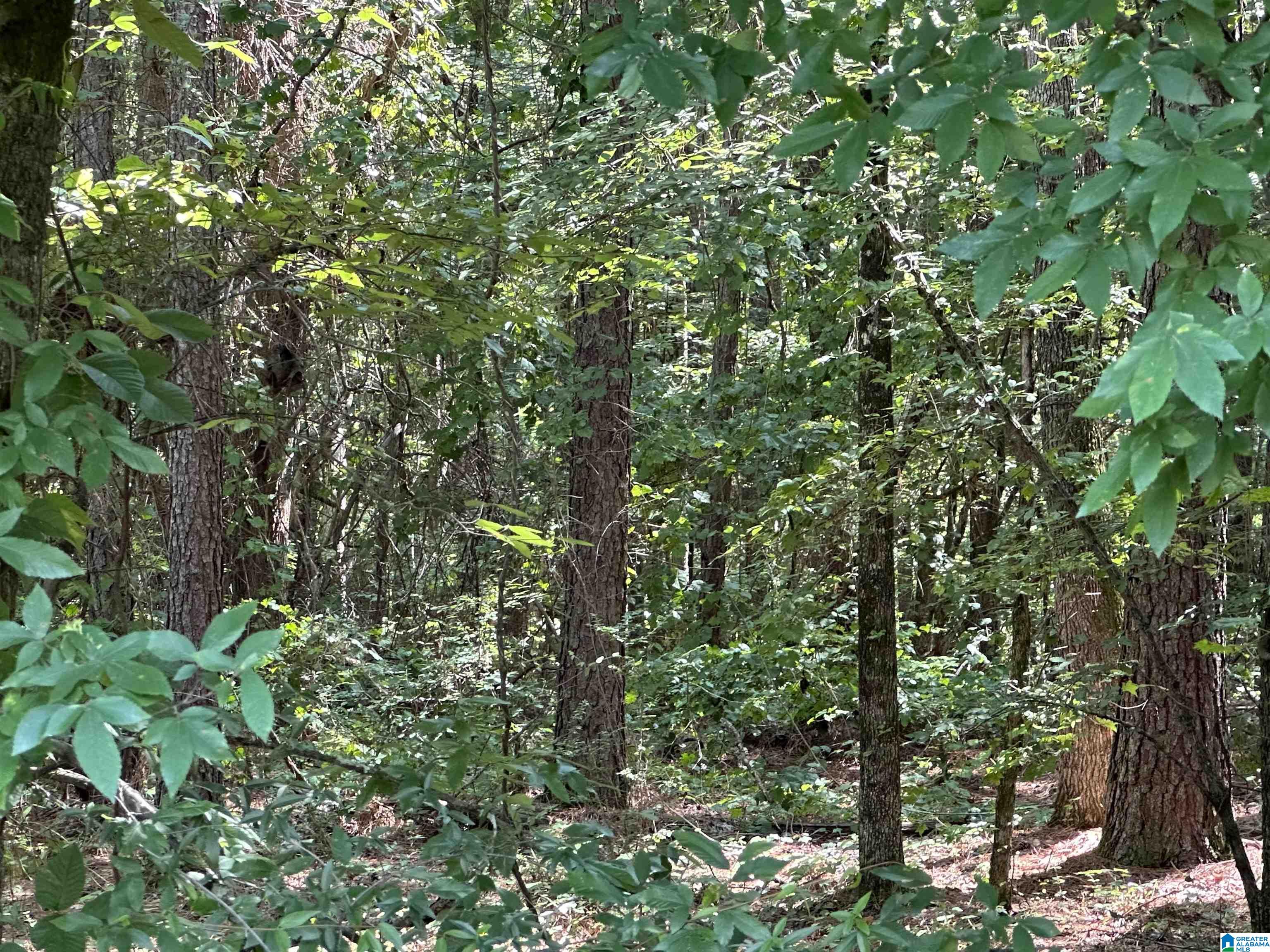 9 County Road, Unit 1 Hayden, AL 35079 - Photo 1 of 4