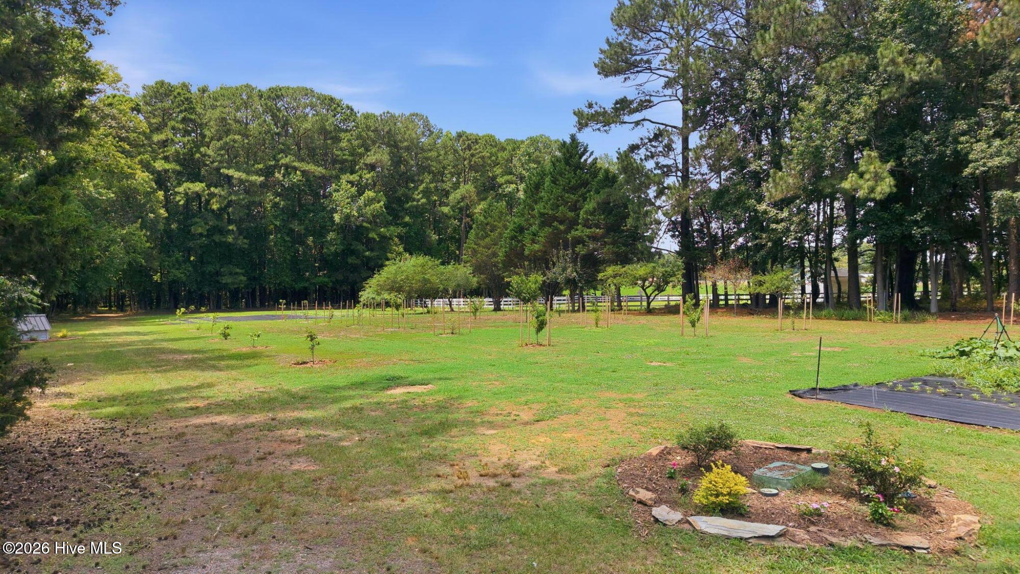 5349 A Pridgen Road Elm City, NC 27822 - Photo 12 of 67