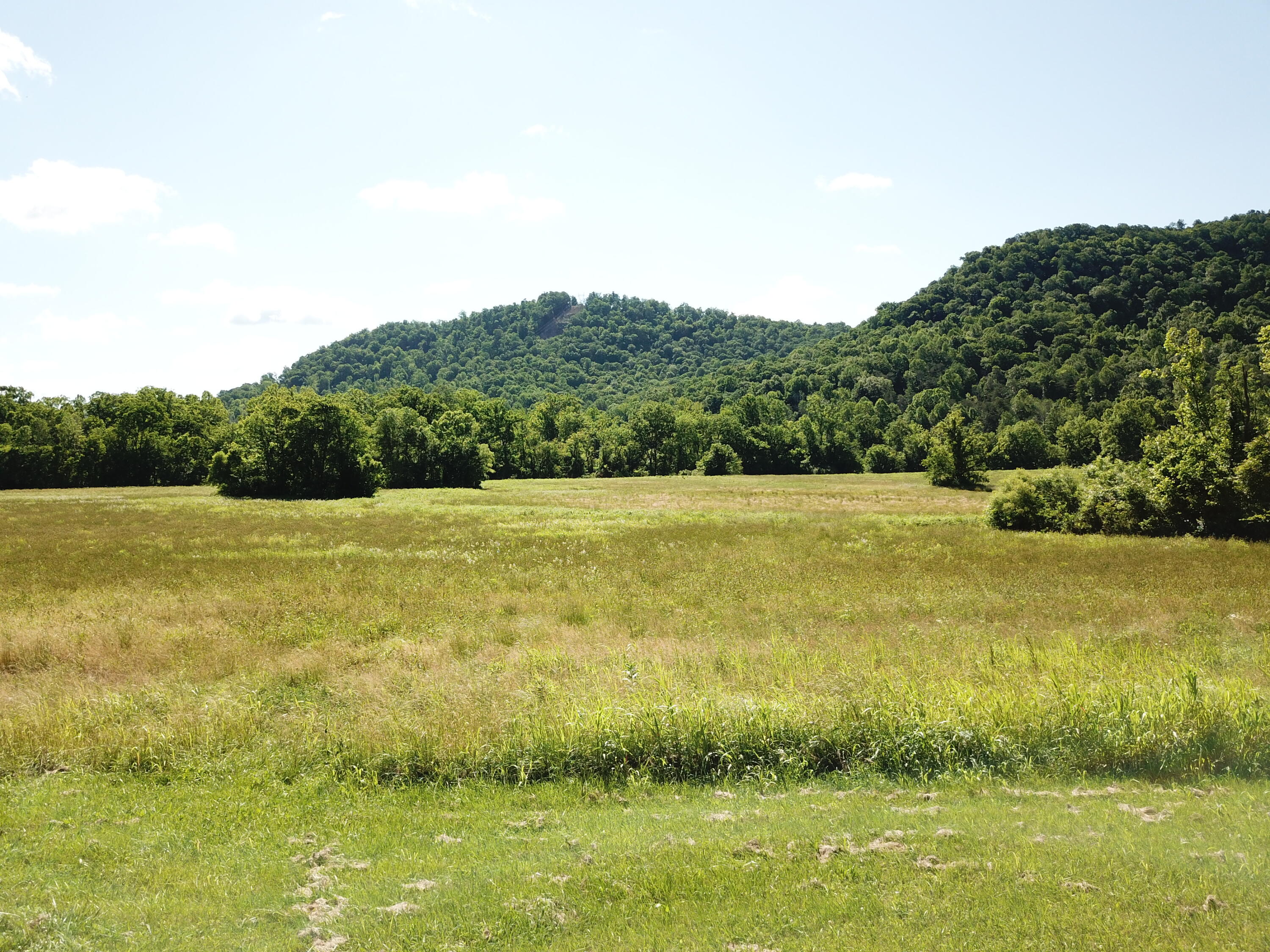 4105 Red Lick Road Irvine, KY 40336 - Photo 10 of 23 DJI_0049