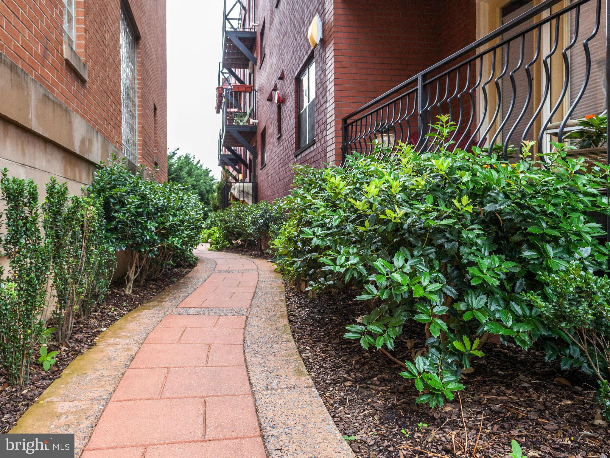 1354 Euclid Street Northwest, Unit B402 Washington, DC 20009 - Photo 3 of 30 a view of a pathway with a garden