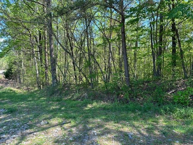 2479 Damascus Road Ranger, GA 30734 - Photo 1 of 1