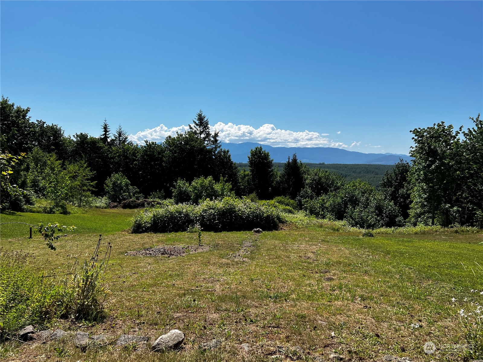 850 No Name Road Port Ludlow, WA 98365 - Photo 1 of 28 a view of a garden with large trees
