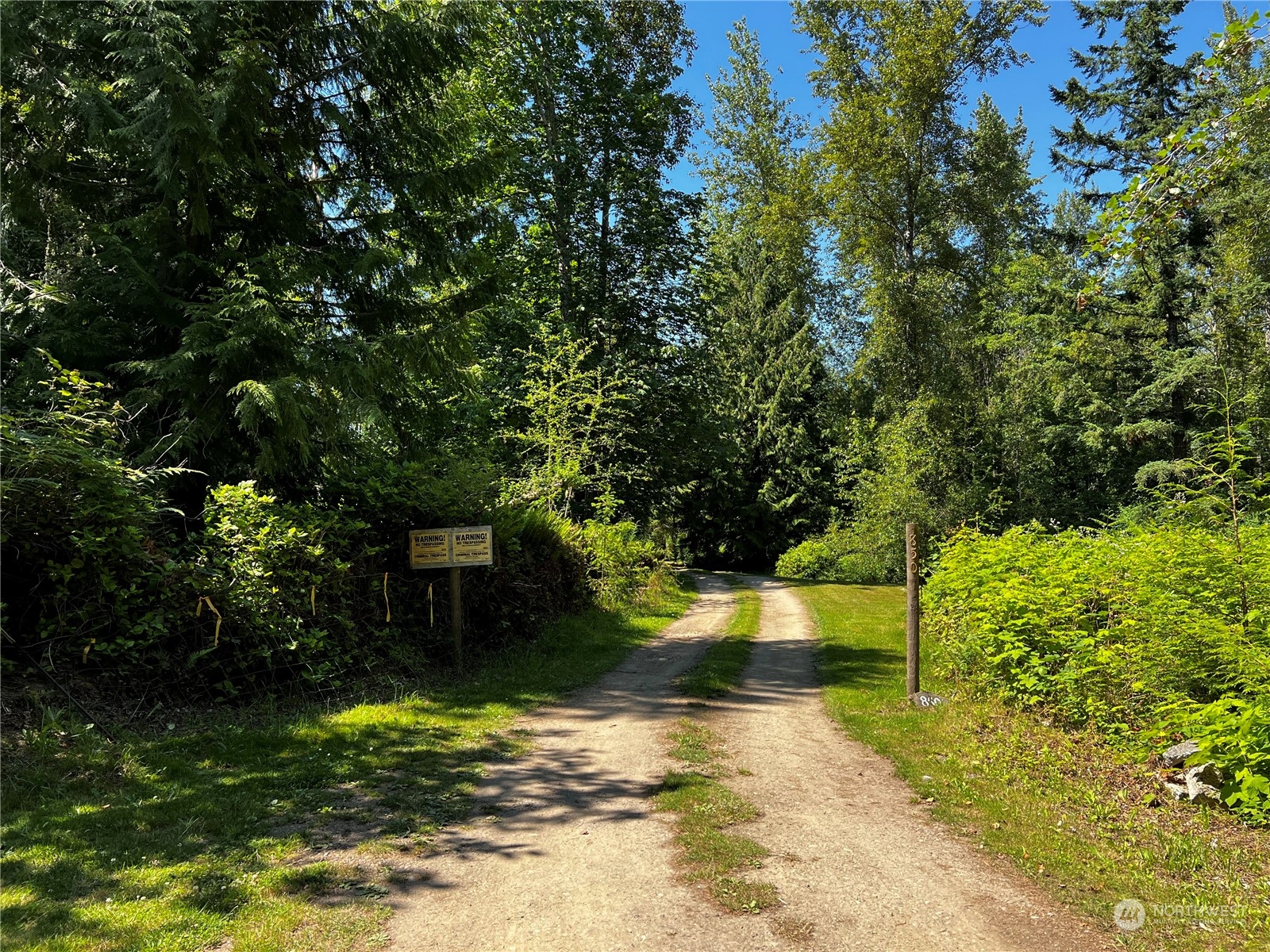 850 No Name Road Port Ludlow, WA 98365 - Photo 11 of 28 a view of a yard with plants and large trees