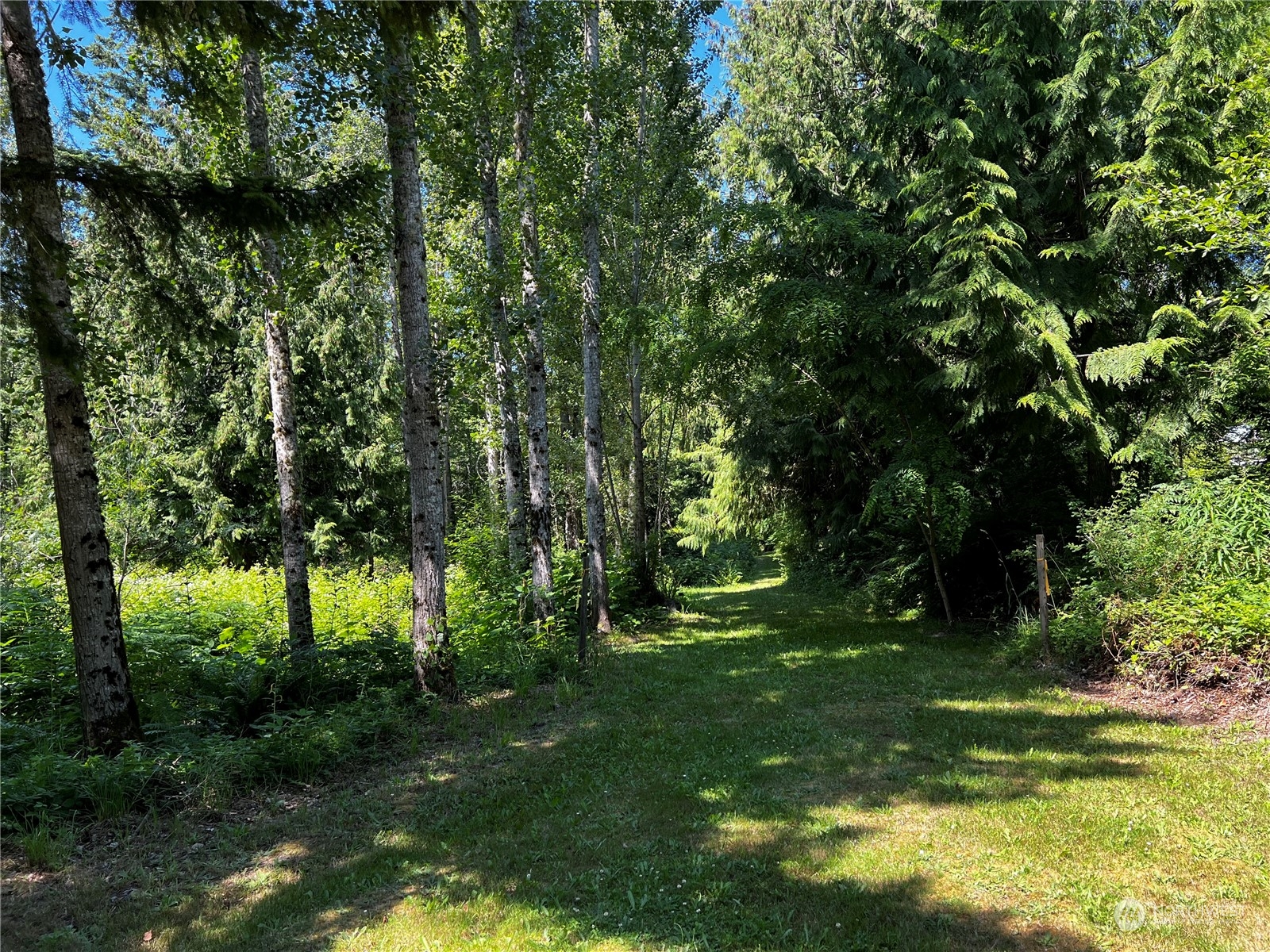 850 No Name Road Port Ludlow, WA 98365 - Photo 14 of 28 a view of backyard with green space