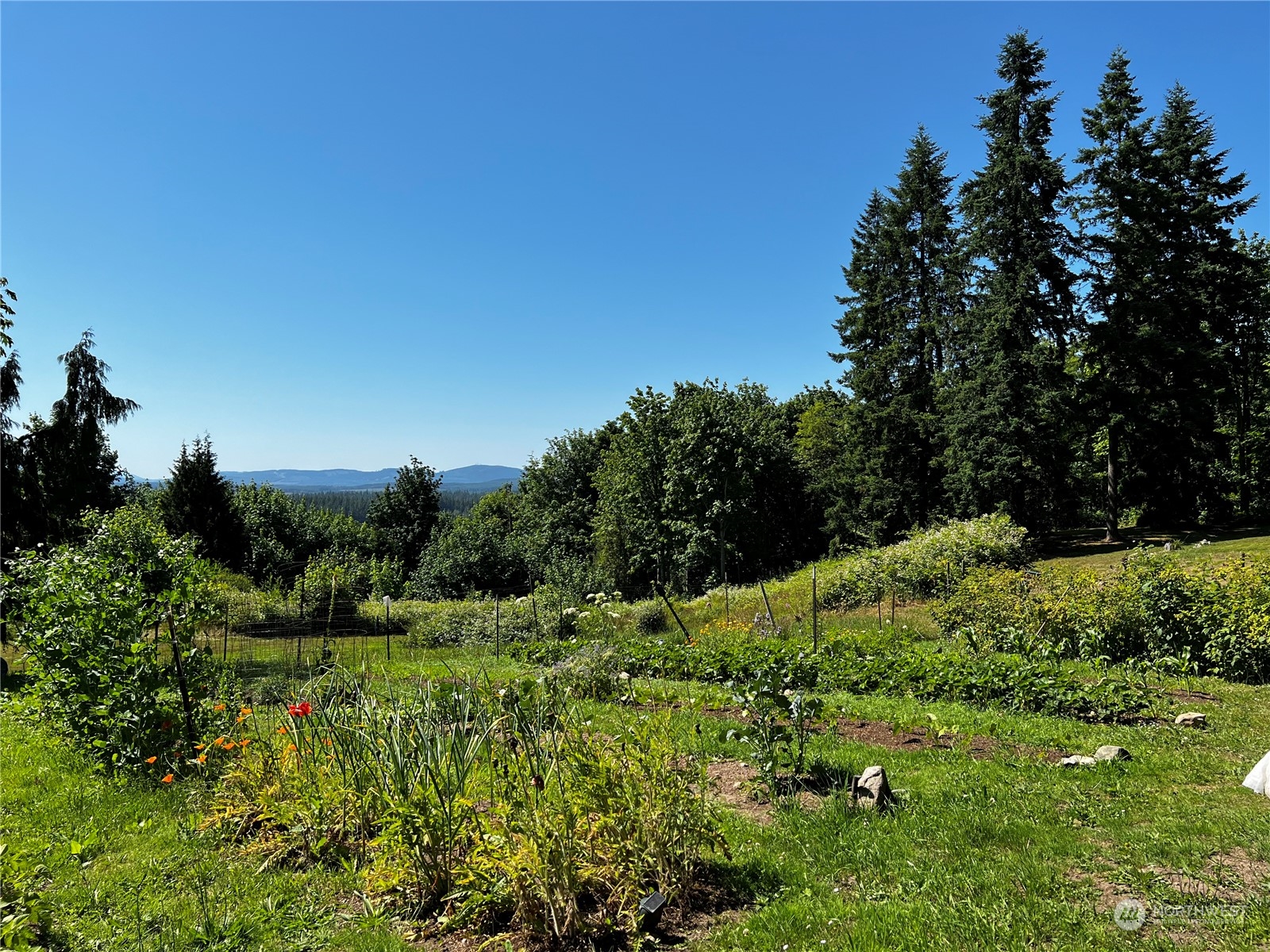 850 No Name Road Port Ludlow, WA 98365 - Photo 3 of 28 a view of a lush green field