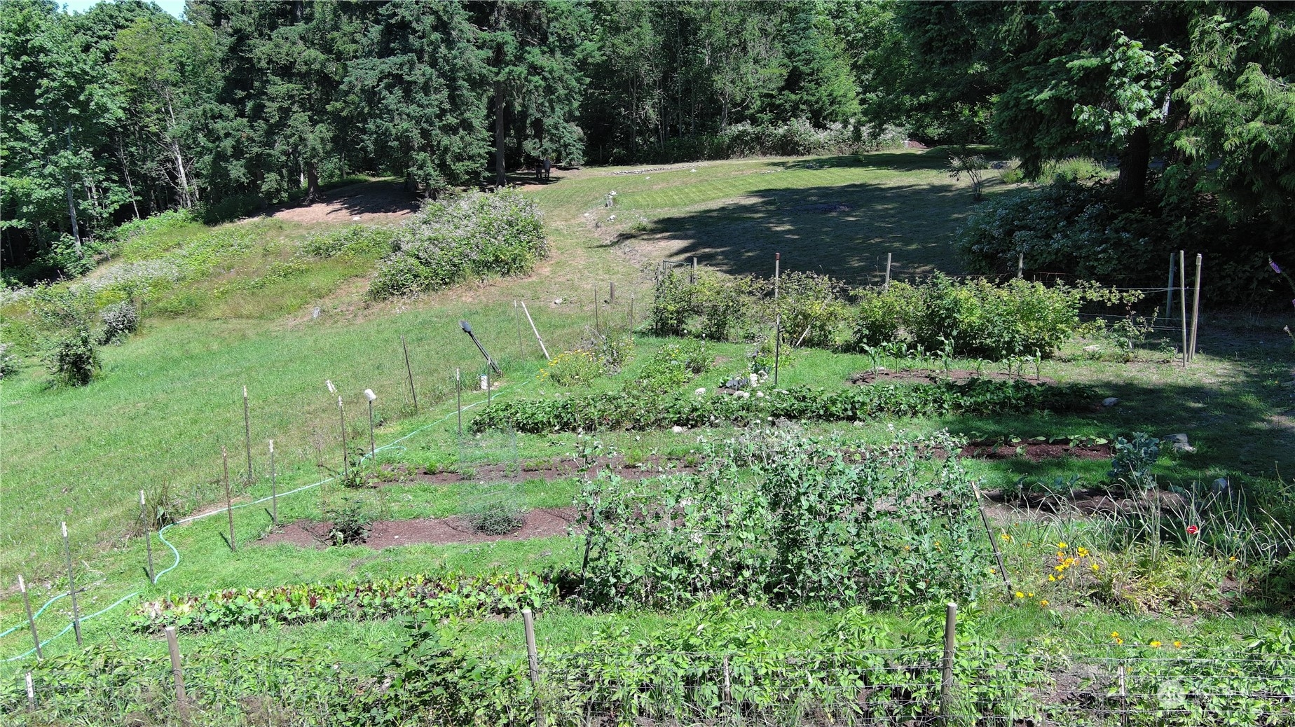 850 No Name Road Port Ludlow, WA 98365 - Photo 4 of 28 a view of a lush green park