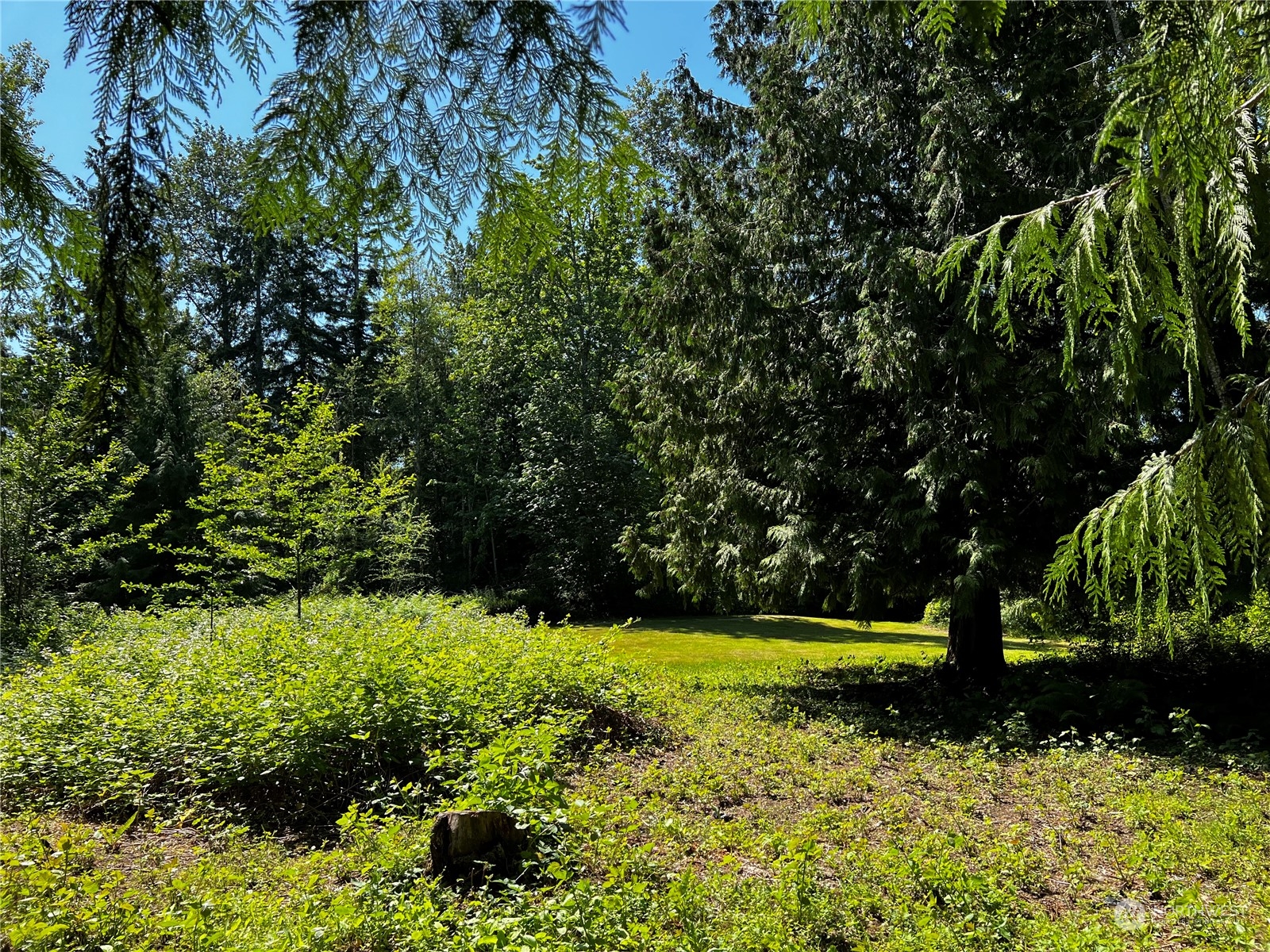 850 No Name Road Port Ludlow, WA 98365 - Photo 8 of 28 a view of a park