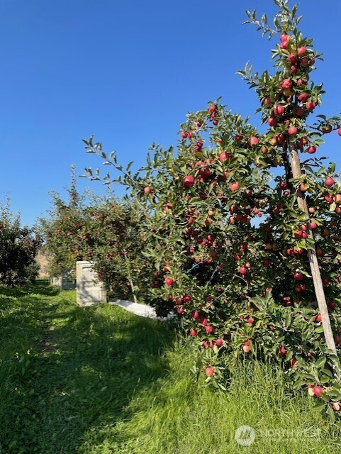 223 Old Riverside Highway Omak, WA 98841 - Photo 20 of 22 a backyard of a house with lots of green space