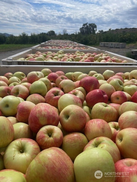 223 Old Riverside Highway Omak, WA 98841 - Photo 21 of 22 a view of a couch and lounge chair