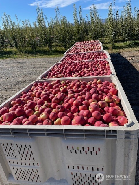 223 Old Riverside Highway Omak, WA 98841 - Photo 22 of 22 a view of a wooden house with a yard