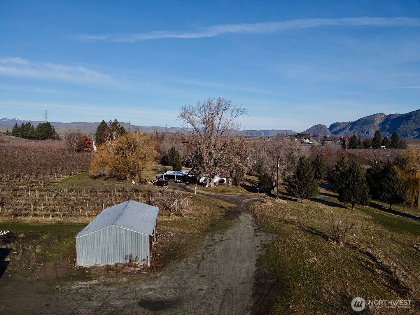 223 Old Riverside Highway Omak, WA 98841 - Photo 6 of 22 a view of a dry yard with trees