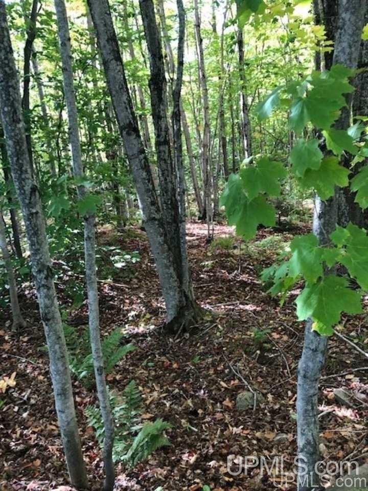 Tbd Koski Road Munising, MI 49862 - Photo 3 of 17