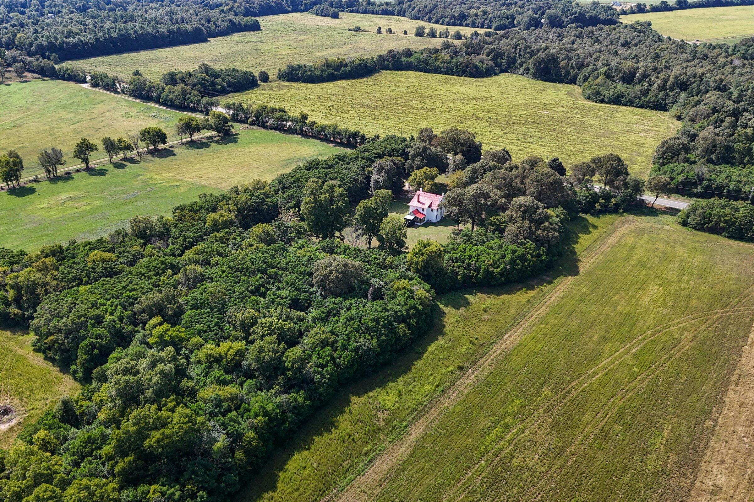 357 Williston Road Beech Island, SC 29842 - Photo 63 of 79