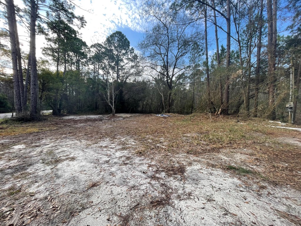 2000 Bluff Road Apalachicola, FL 32320 - Photo 13 of 22
