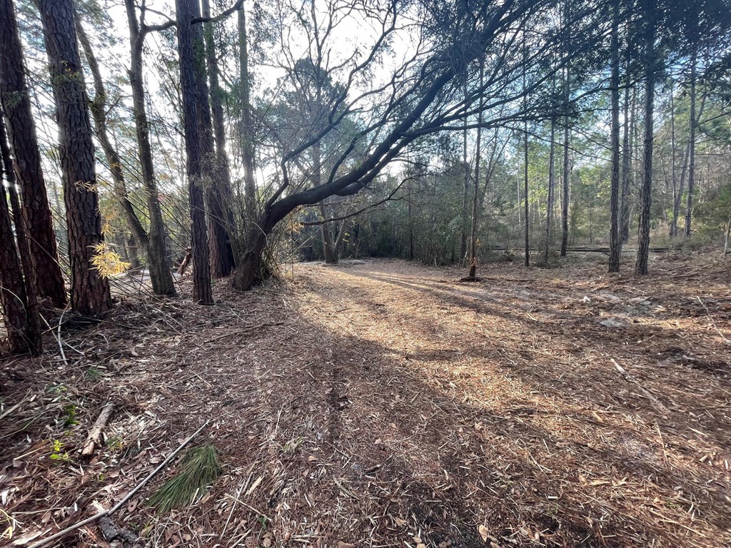 2000 Bluff Road Apalachicola, FL 32320 - Photo 15 of 22