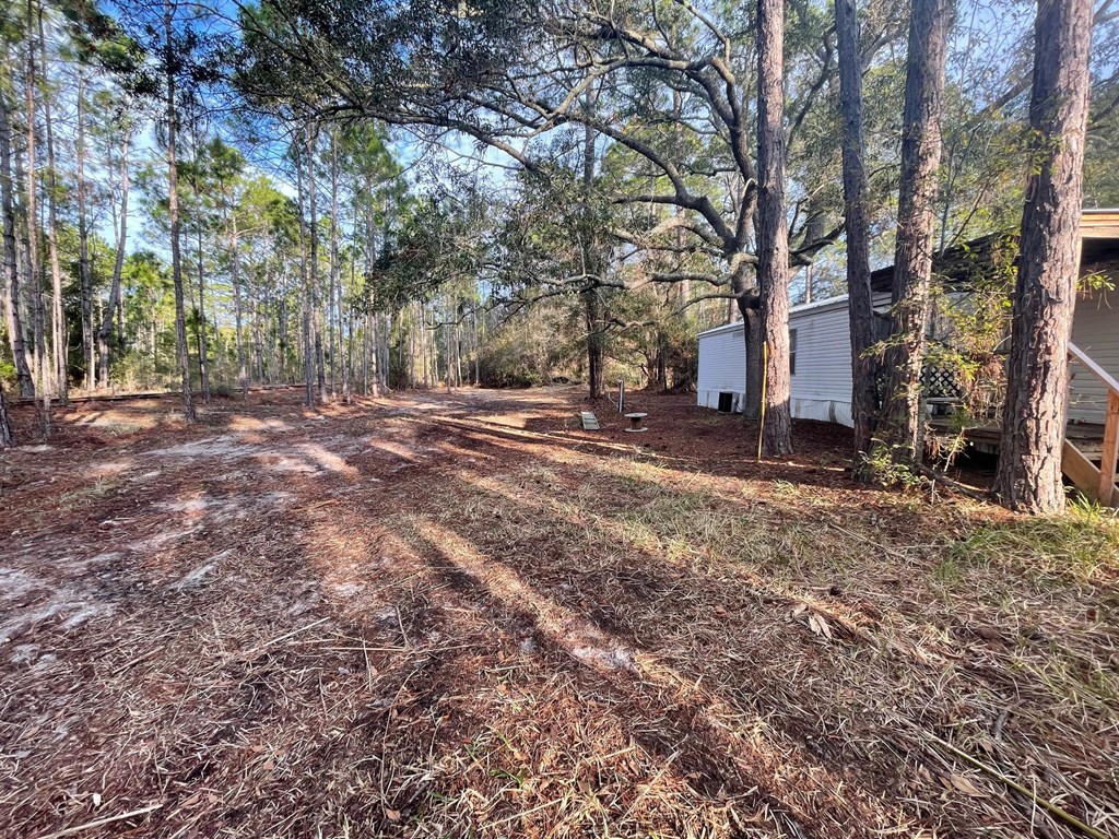 2000 Bluff Road Apalachicola, FL 32320 - Photo 16 of 22