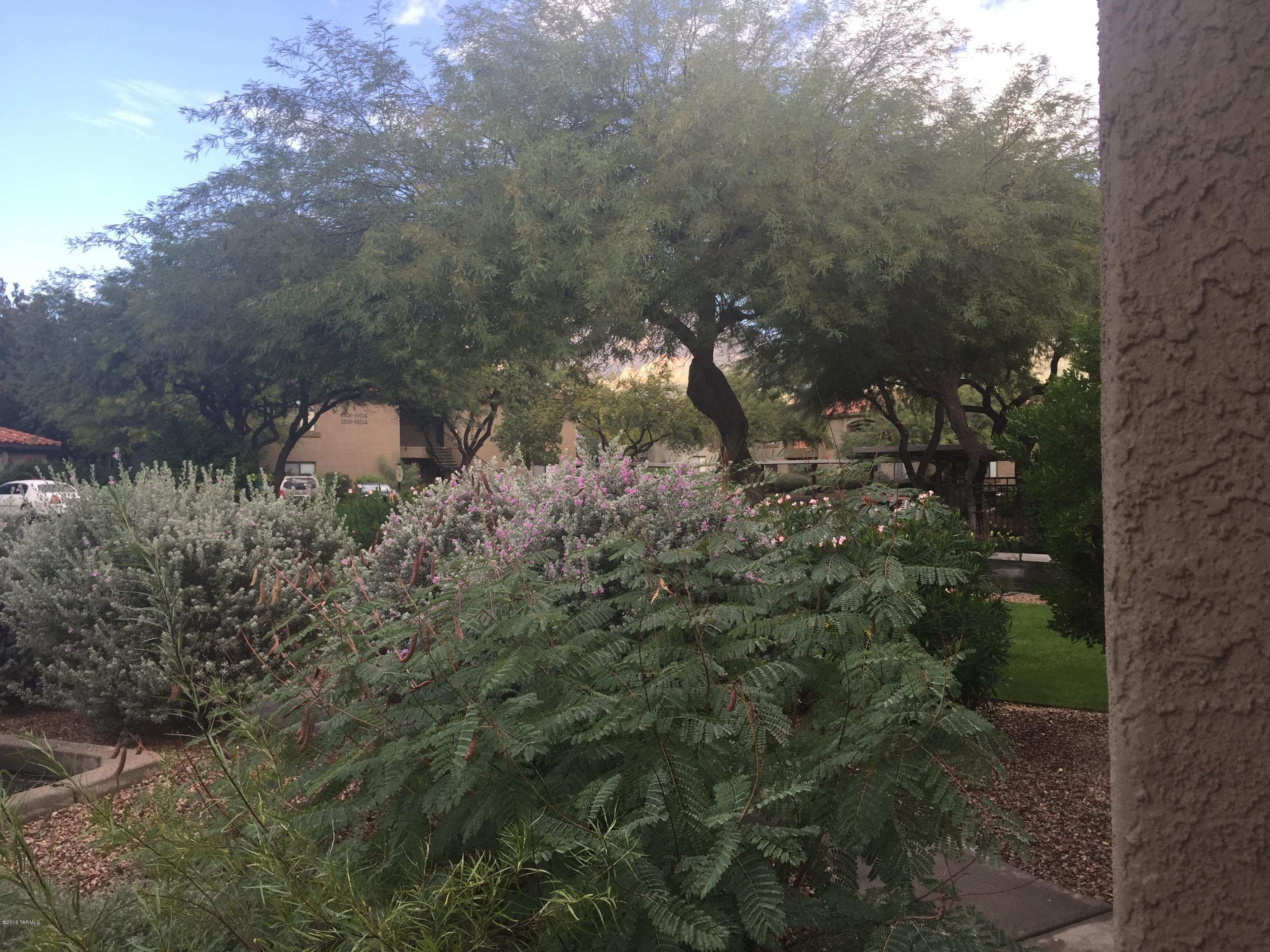 5751 North Kolb Road, Unit 9101 Tucson, AZ 85750 - Photo 8 of 20
