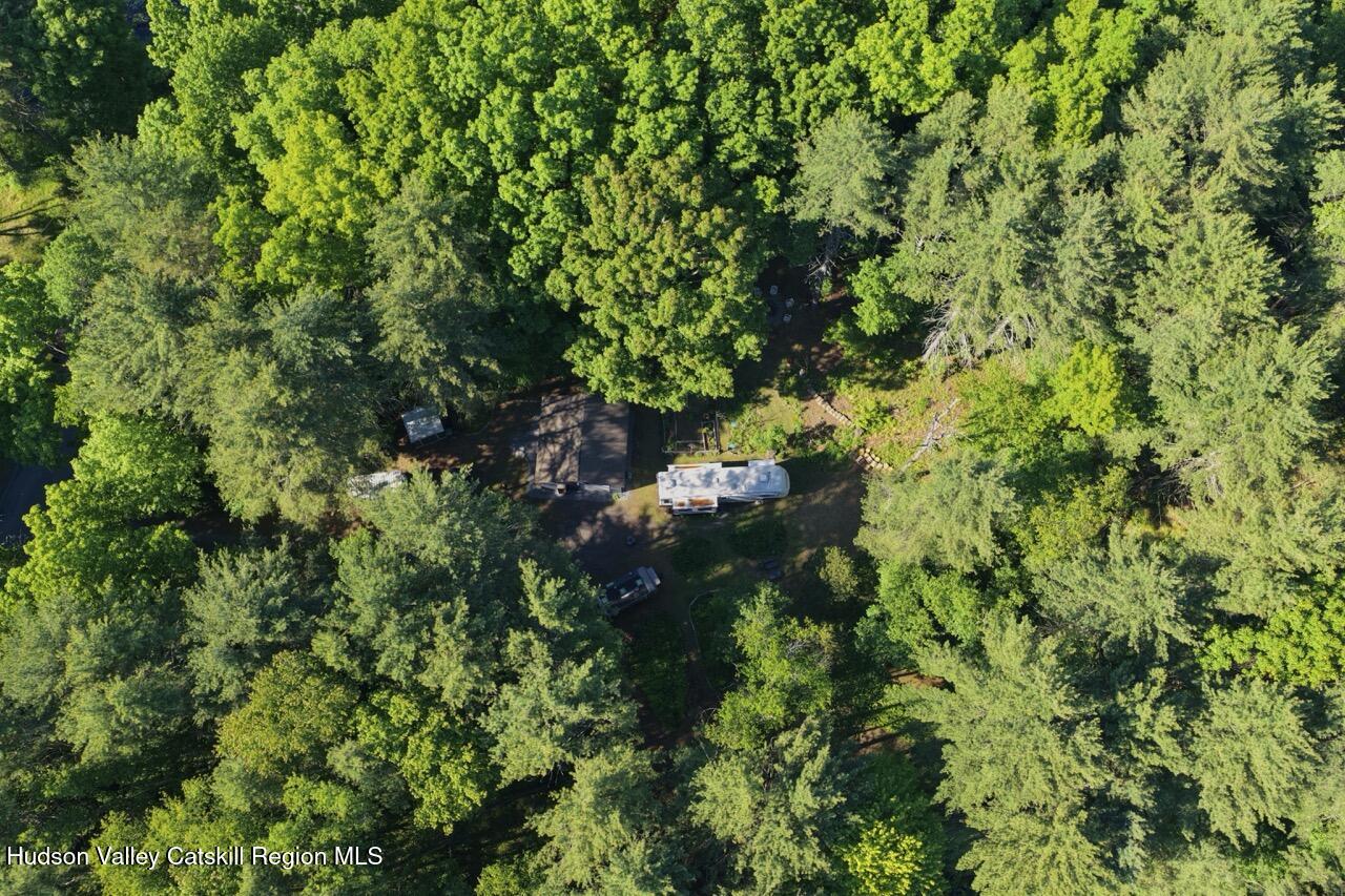 177 Webber Road Earlton, NY 12058 - Photo 41 of 50 a backyard of a house with lots of green space