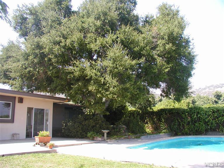 621 Hall Road Santa Paula, CA 93060 - Photo 23 of 26 Additional Photo
