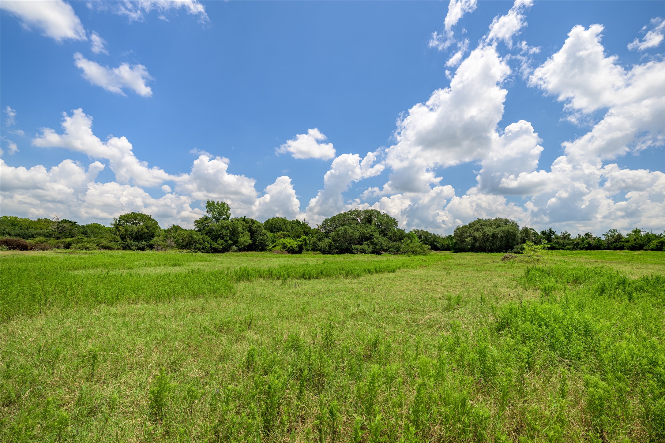 4900 Andreas Road Round Top, TX 78954 - Photo 15 of 20 a view of a big yard with lots of green space