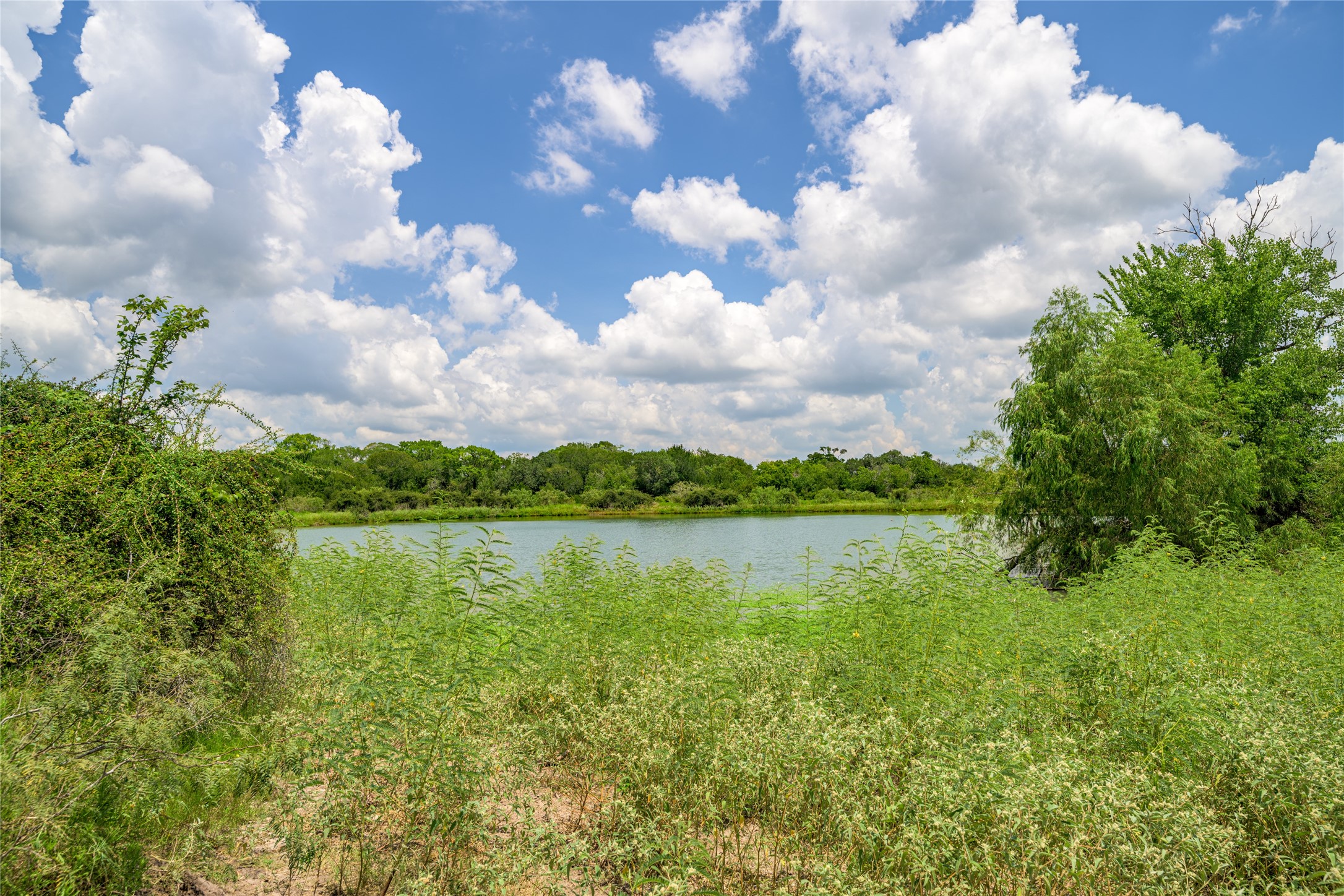 4900 Andreas Road Round Top, TX 78954 - Photo 17 of 20 a view of lake with green space