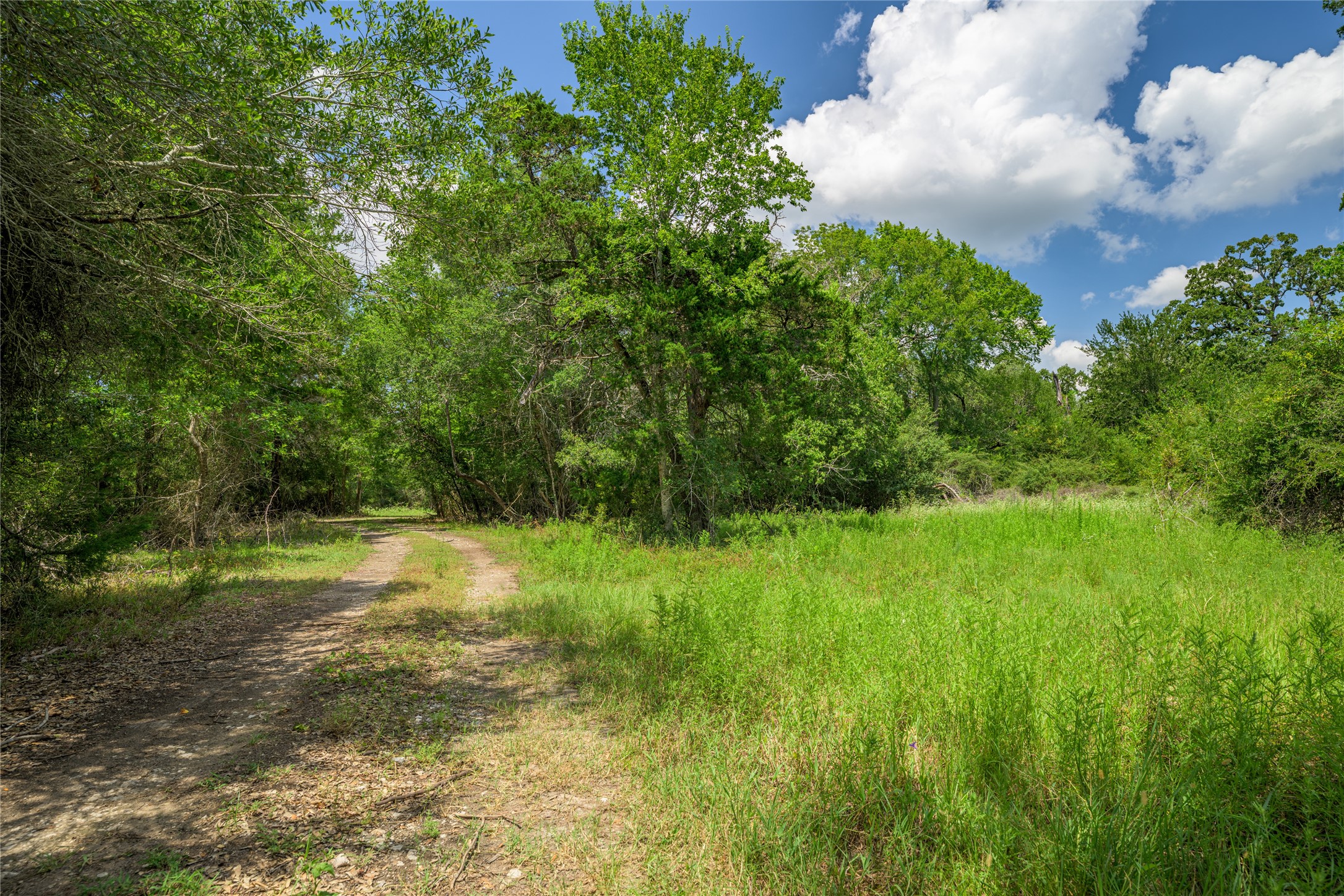 4900 Andreas Road Round Top, TX 78954 - Photo 4 of 20